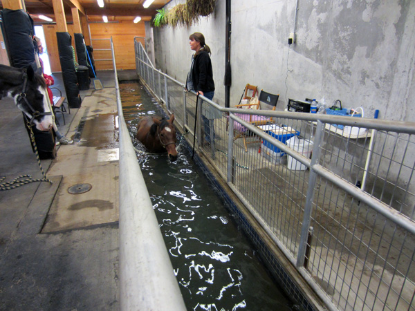Still Creek Farm Aquatred
